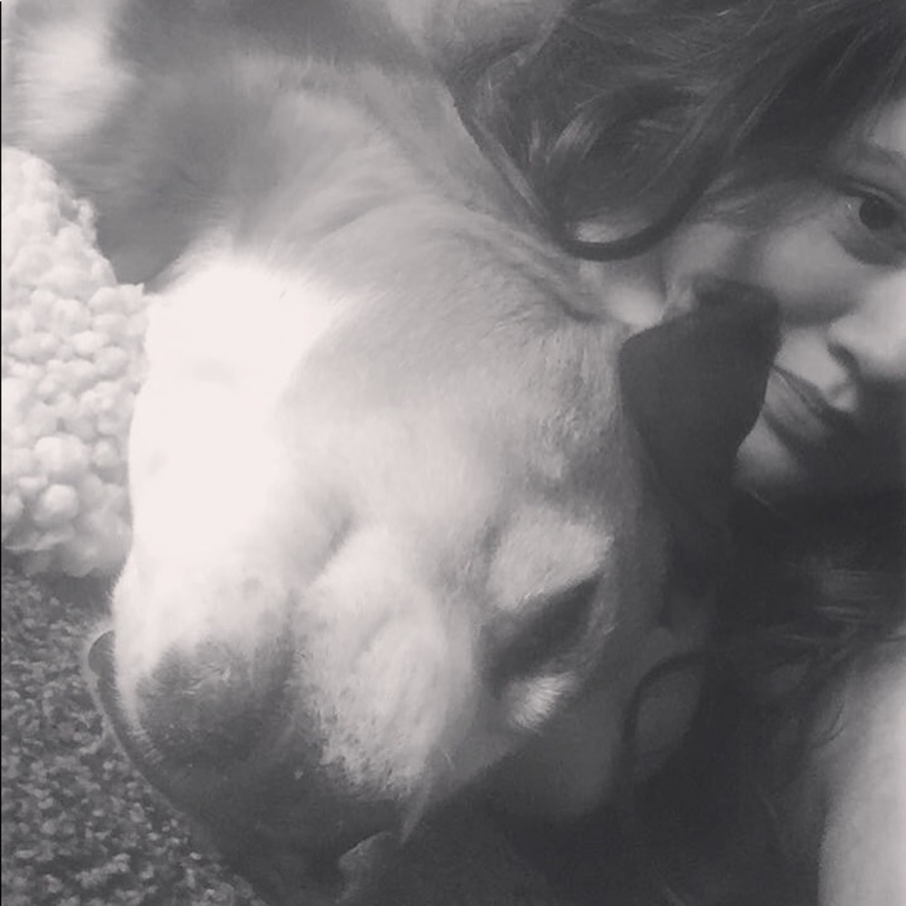 Meet your Posher, Shelby
